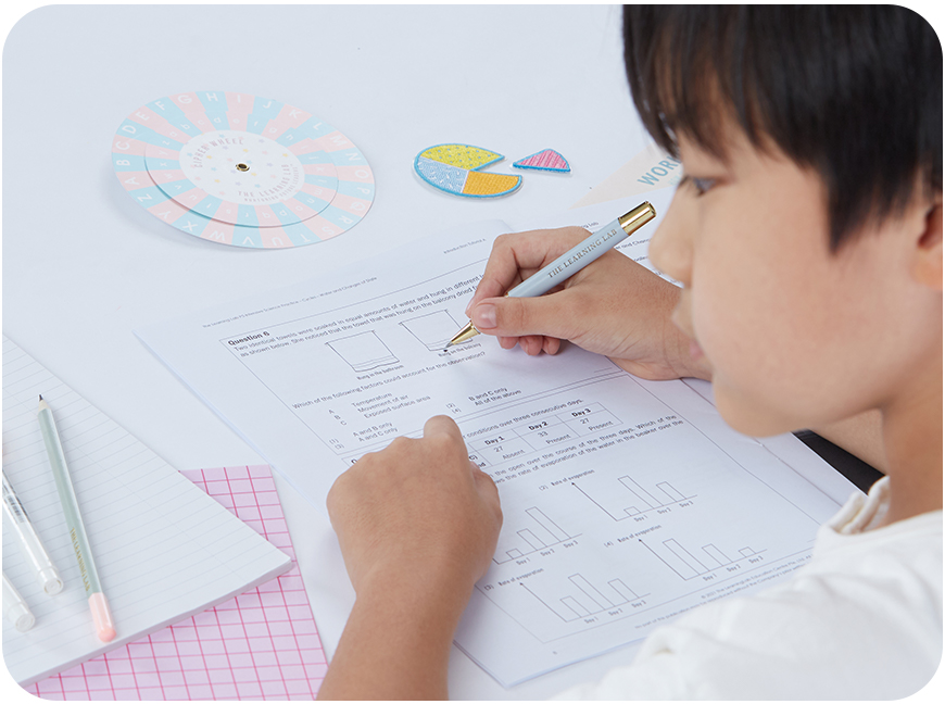 A child focusing on a class assignment during tuition at The Learning Lab