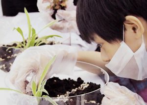 Primary 5 (P5) students conducting a science experiment at The Learning Lab